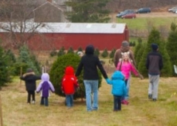 people at a tree farm