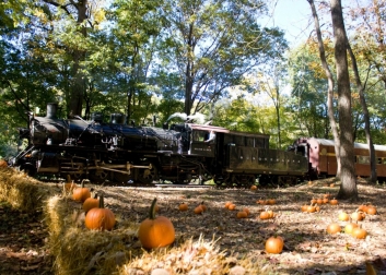 The Great Pumpkin Train operated by the Delaware River Railroad Excursions on the Bel-Del line.