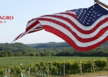 Villa Milagro Vineyards end of summer picnic