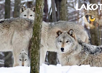 Lakota Wolf Preserve Holiday Art Show Fundraiser - Dec. 1