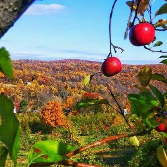 Photo by Best's Fruit Farm