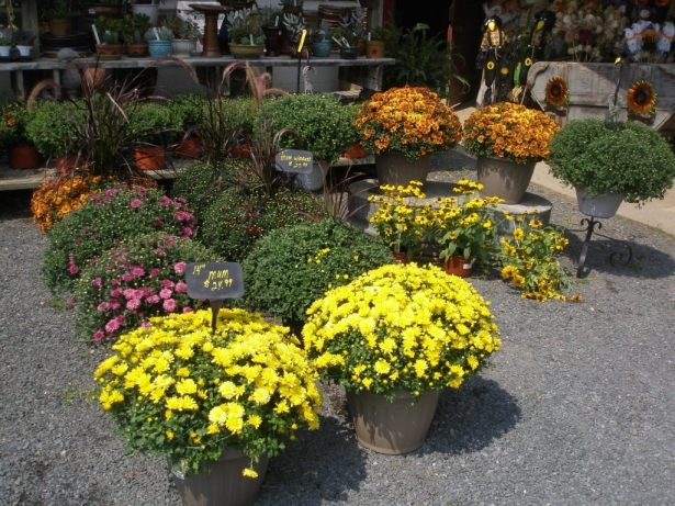 Harvesst some Spooktacular activities in Warren County this weekend.