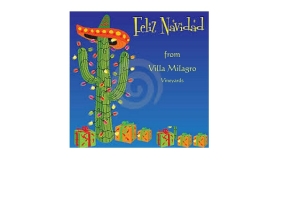 Cactus wearing a sombrero and string lights surrounded by packages against a dark blue background