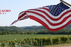 Villa Milagro Vineyards end of summer picnic