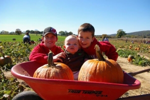 Photo courtesy of Donaldson's Facebook page