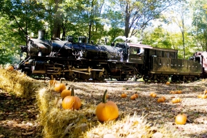 Great Pumpkin Train - Weekends, Sept. 29-Oct. 28