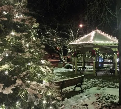Snow covered gazebo